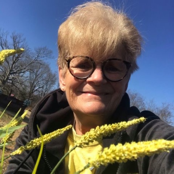 Meet your Posher, Phyllis - Picture 1 of 1